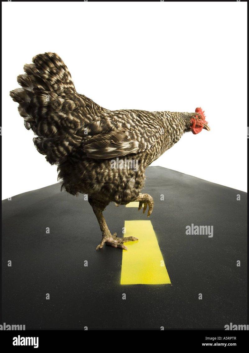 Spain - jugar chicken road