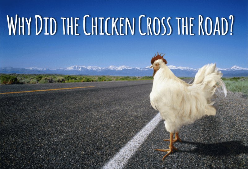 Guide to juego chicken road